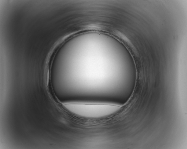 X0000088891323200706080759