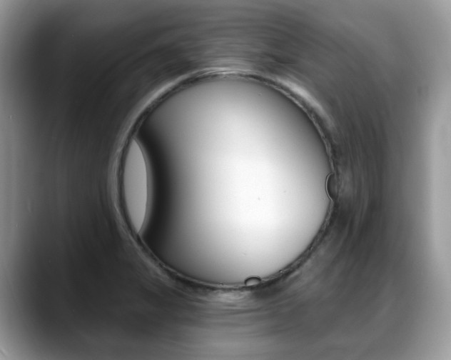X0000088891325200706080759