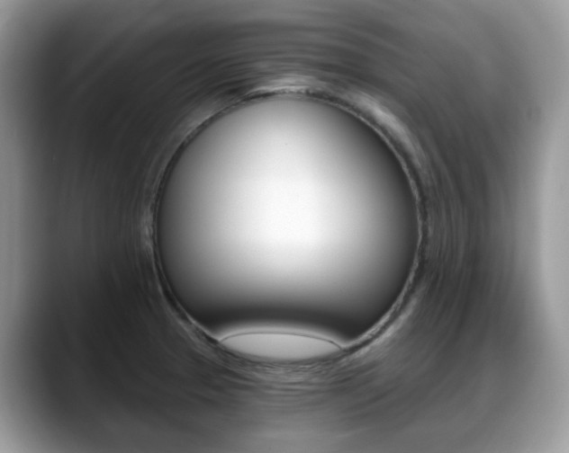X0000088891329200706080759
