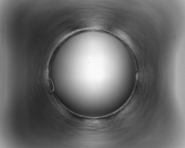 X0000088891332200706080759