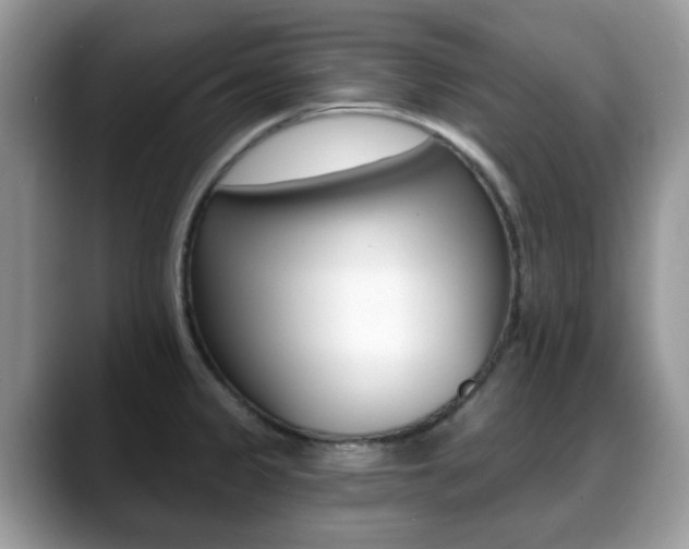X0000088891333200706080759