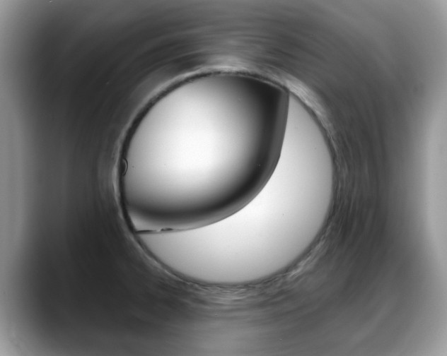 X0000088891334200706080759
