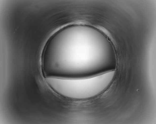 X0000088891335200706080759