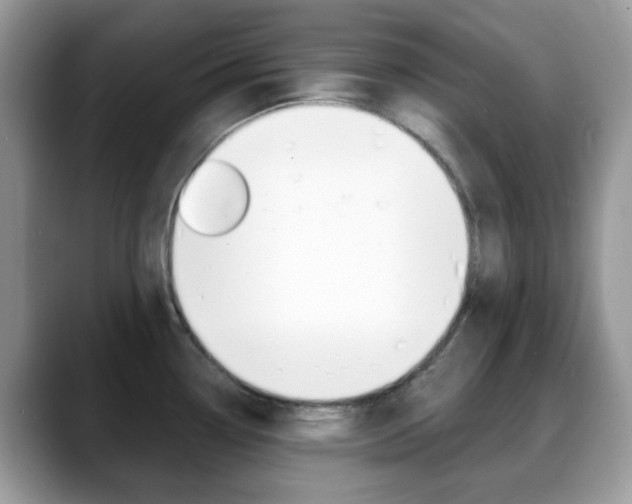 X0000088891338200706080759