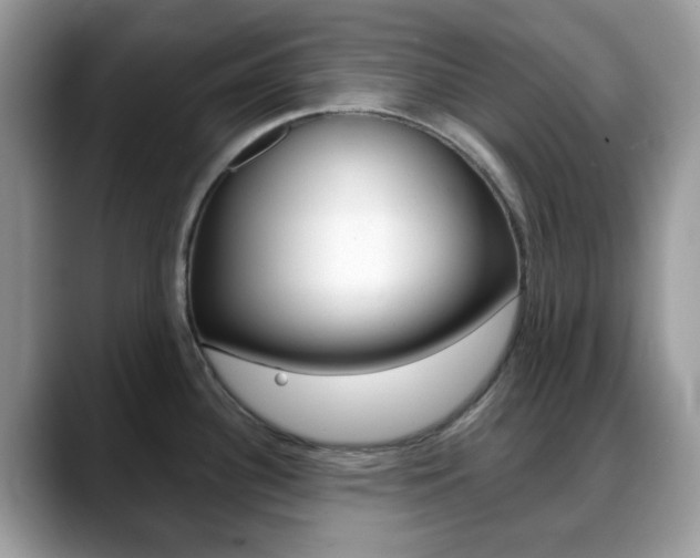 X0000088891340200706080759