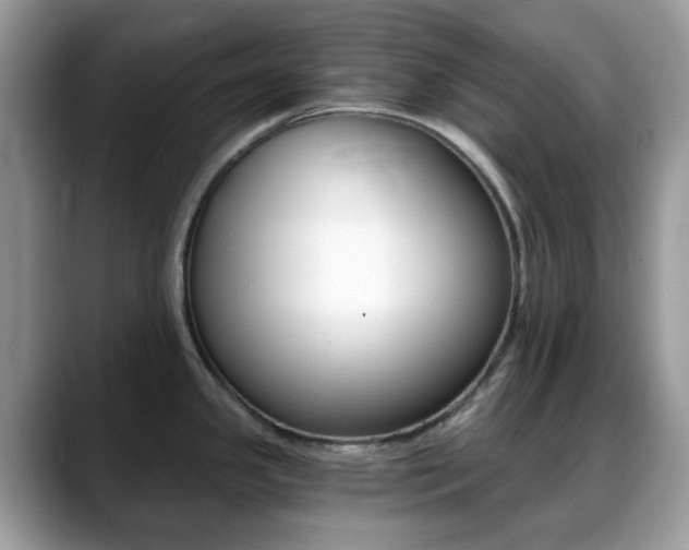 X0000088891341200706080759