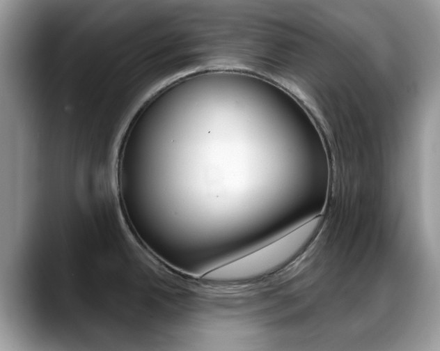 X0000088891342200706080759
