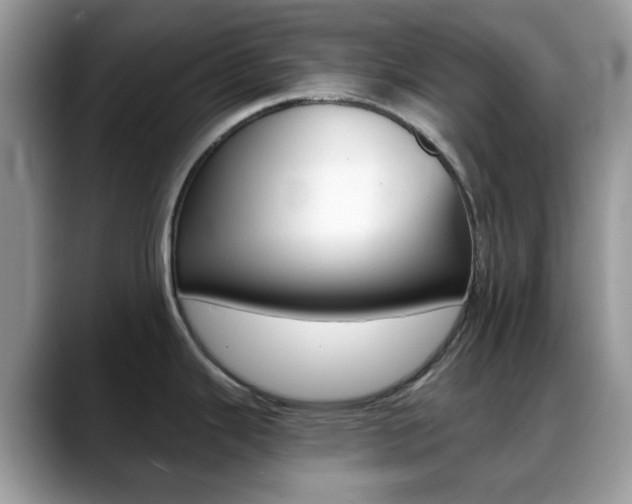 X0000088891343200706080759