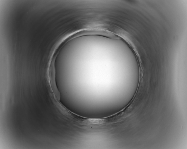 X0000088891344200706080759