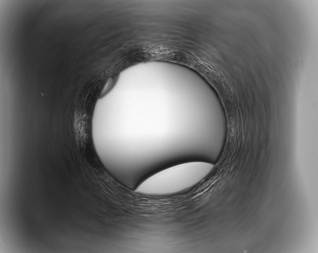 X0000088891346200706080758