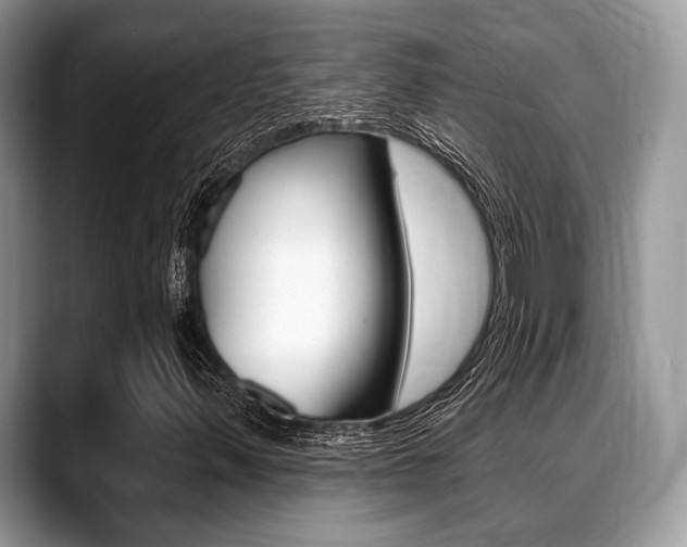 X0000088891347200706080758