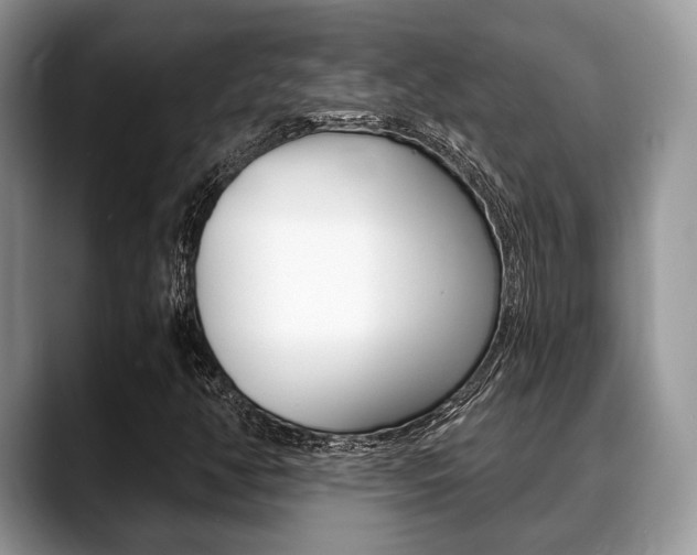 X0000088891350200706080758