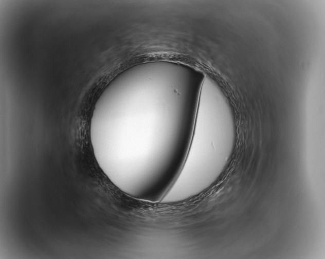 X0000088891351200706080758