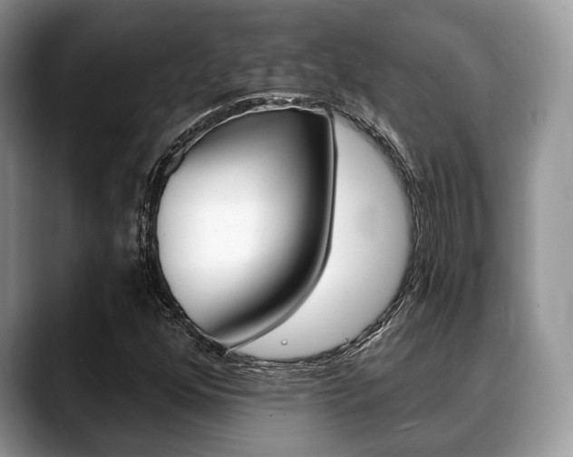X0000088891352200706080758
