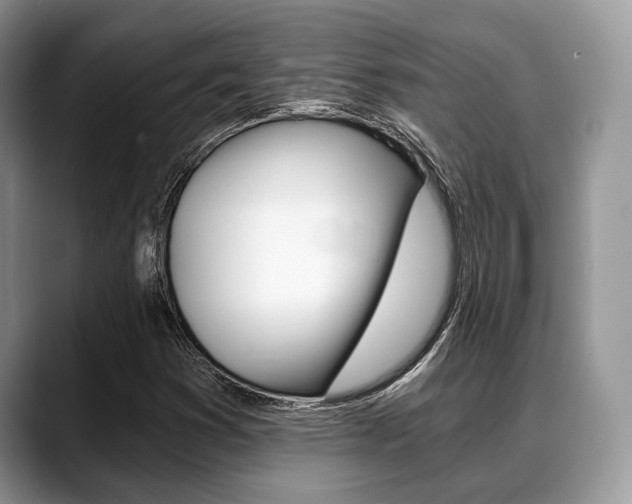 X0000088891353200706080758