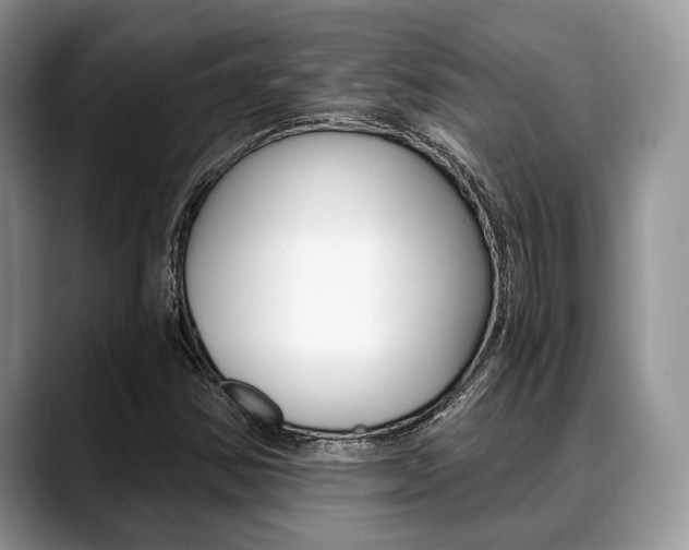 X0000088891354200706080758