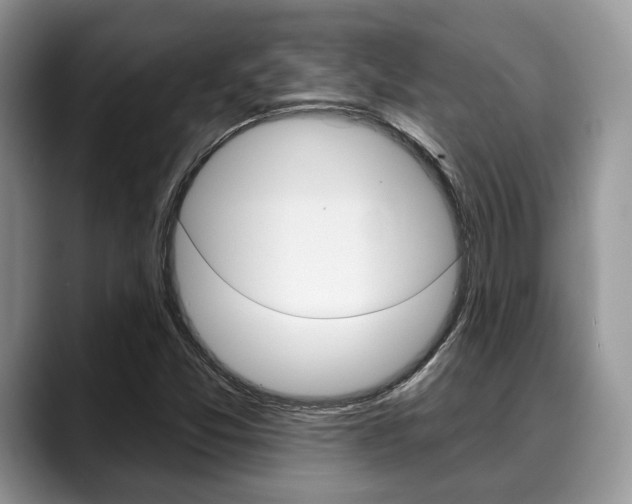 X0000088891357200706080758