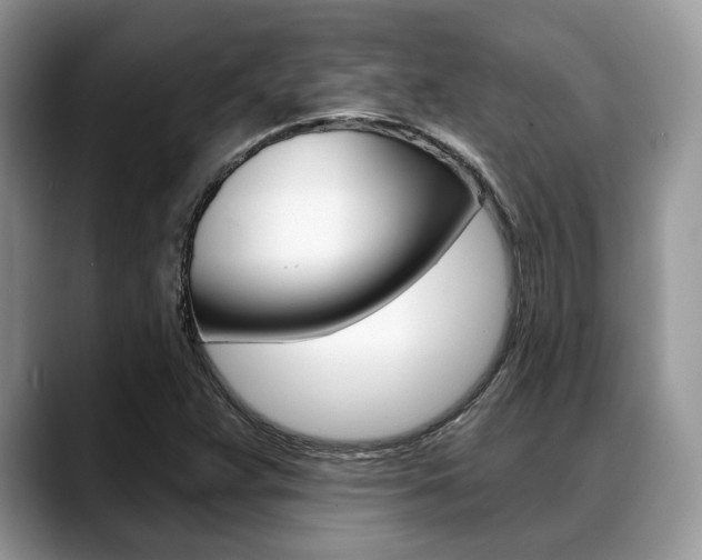X0000088891359200706080758