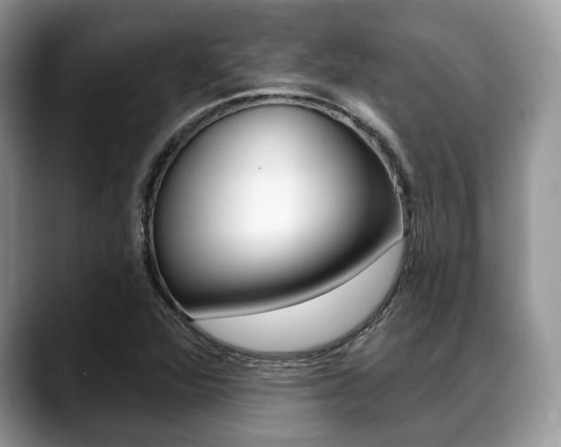X0000088891360200706080758