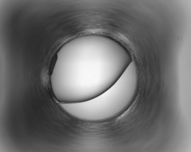 X0000088891361200706080758
