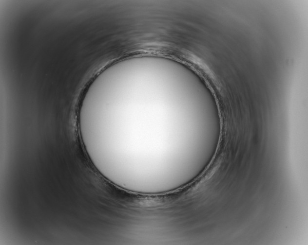 X0000088891362200706080758