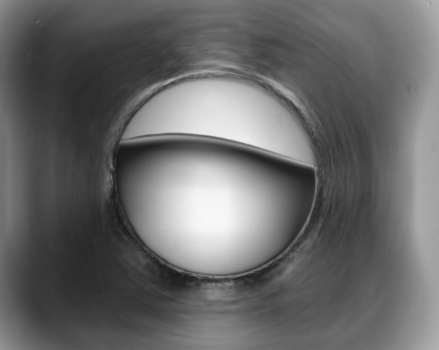 X0000088891363200706080758
