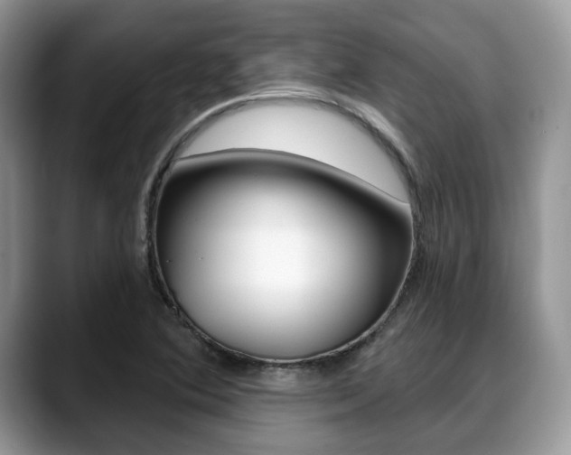 X0000088891364200706080758