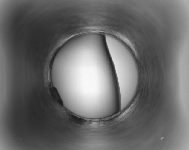 X0000088891365200706080758