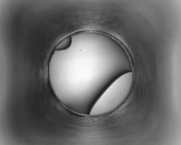 X0000088891366200706080758