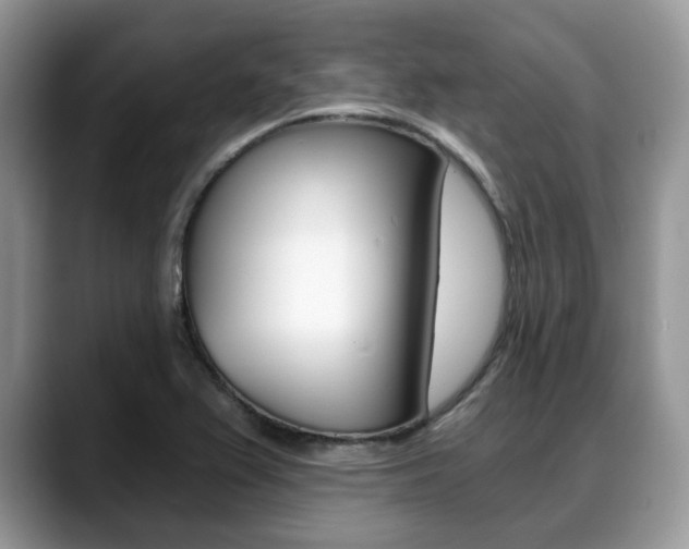 X0000088891367200706080758