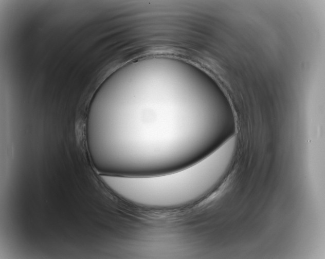 X0000088891369200706080758