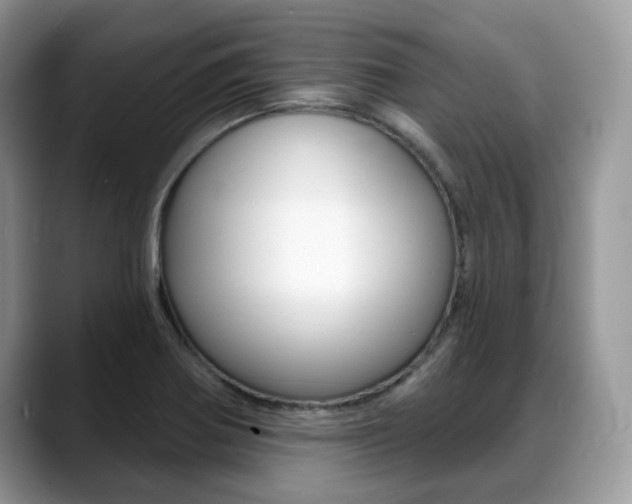 X0000088891370200706080758
