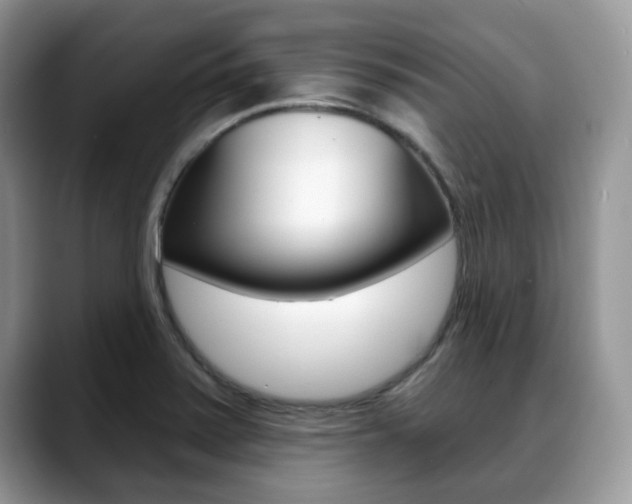 X0000088891371200706080758