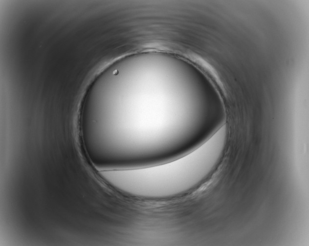 X0000088891373200706080758
