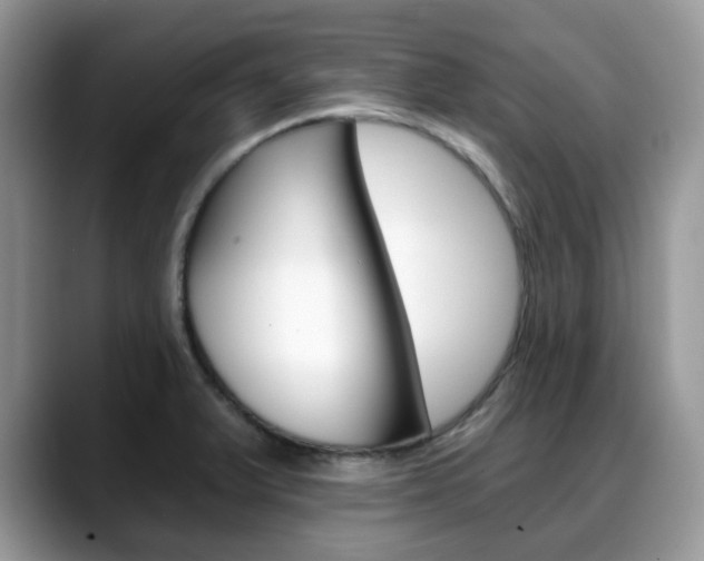 X0000088891375200706080758