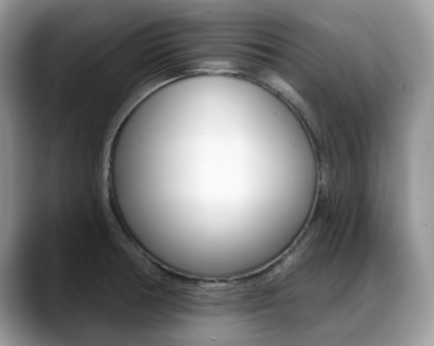 X0000088891378200706080758