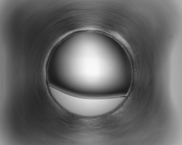 X0000088891380200706080758