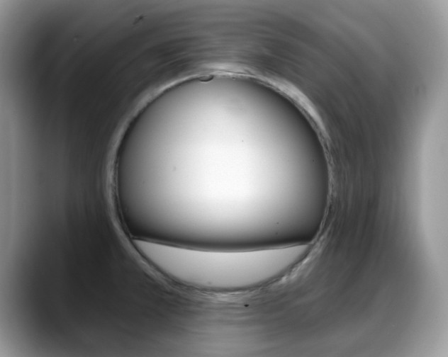 X0000088891381200706080758
