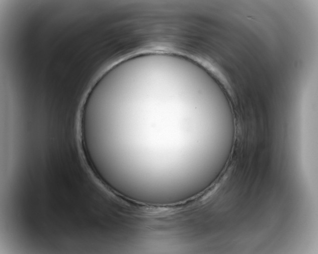 X0000088891382200706080758