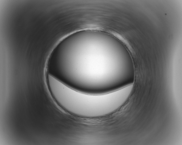 X0000088891383200706080758