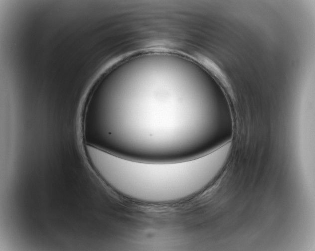 X0000088891384200706080758