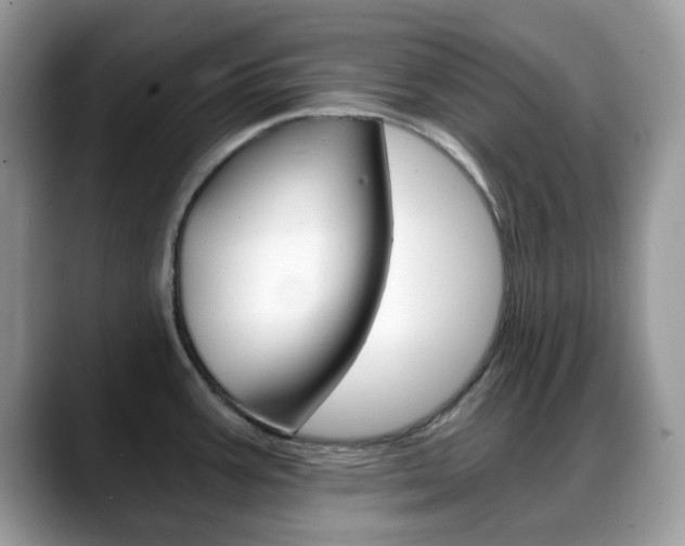 X0000088891387200706080758
