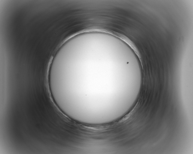 X0000088891388200706080758