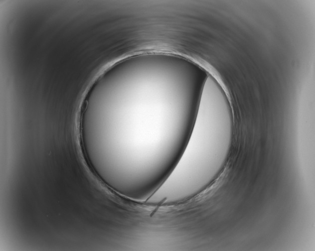 X0000088891389200706080758