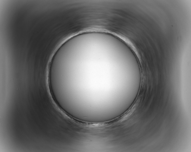 X0000088891390200706080758