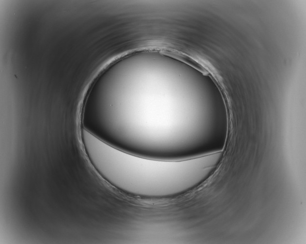X0000088891392200706080758