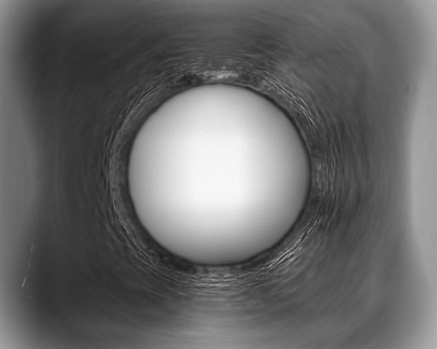 X0000088891393200706080757