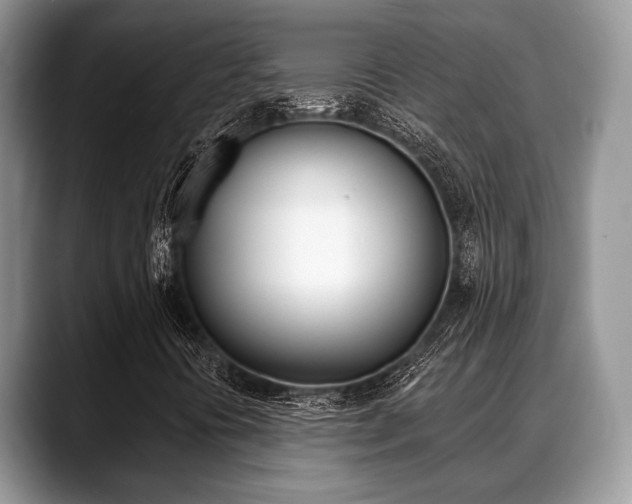 X0000088891394200706080757