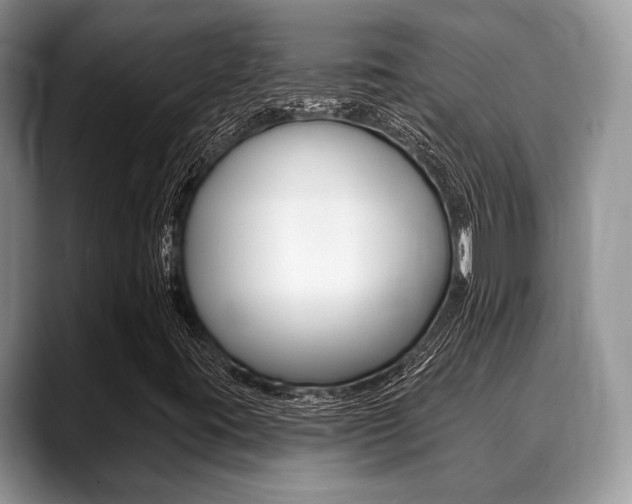 X0000088891395200706080757