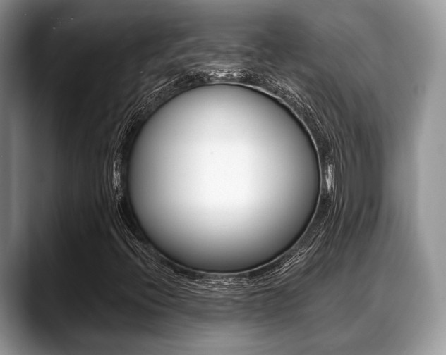 X0000088891396200706080757